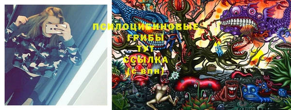 тгк Покровск
