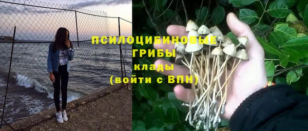 дживик Покачи